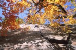 First free ascent of Life During Wartime, Echo Cliff