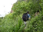 Thick jungle on the approach